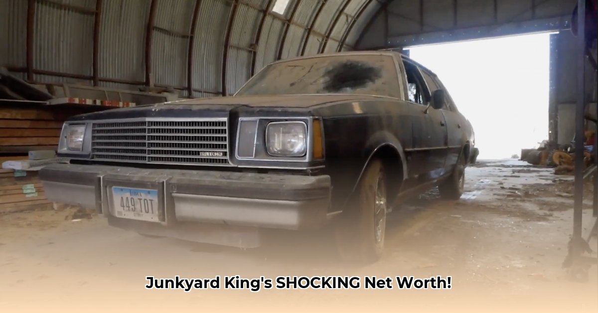 junkyard-digs-net-worth